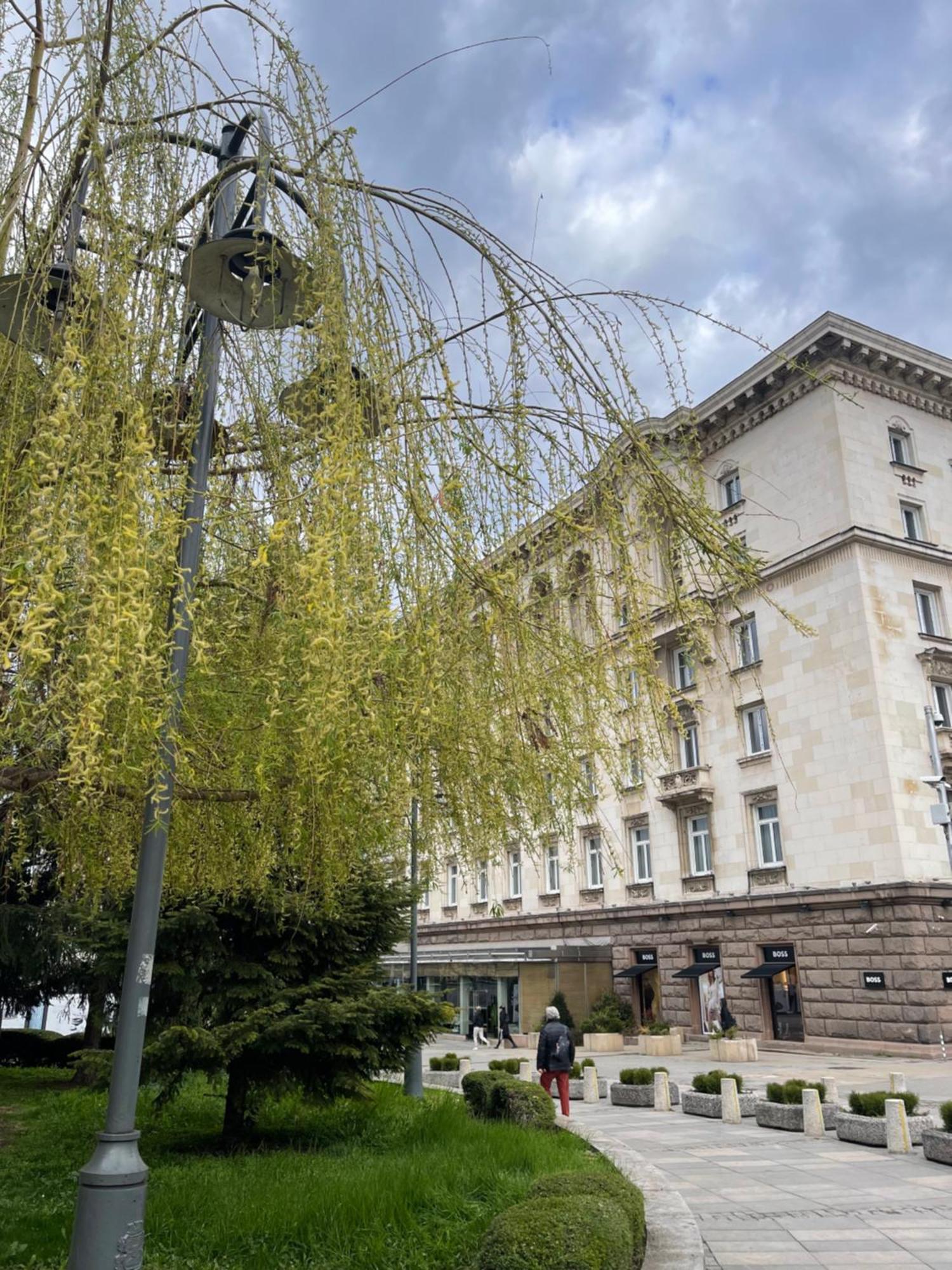 София Хотел Балкан, хотел от луксозната колекция Екстериор снимка The hotel in 2019